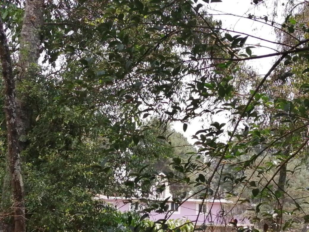 Hotel Bosques Zacatlán Zewnętrze zdjęcie