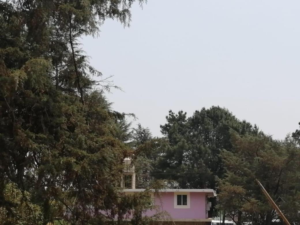 Hotel Bosques Zacatlán Zewnętrze zdjęcie